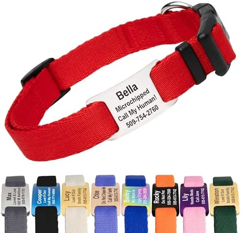 GoTags Dog Collar with Personalized Nameplate, Adjustable Collar Tag Combo