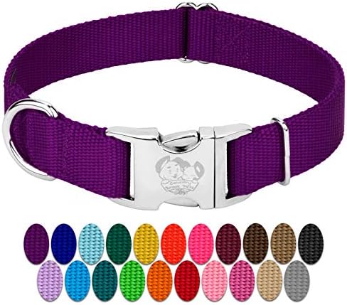Country Brook Petz - Premium Nylon Dog Collar with Metal Buckle for Small Medium Large Breeds - 30+ Colors (Extra Large, 1 Inch, Purple)