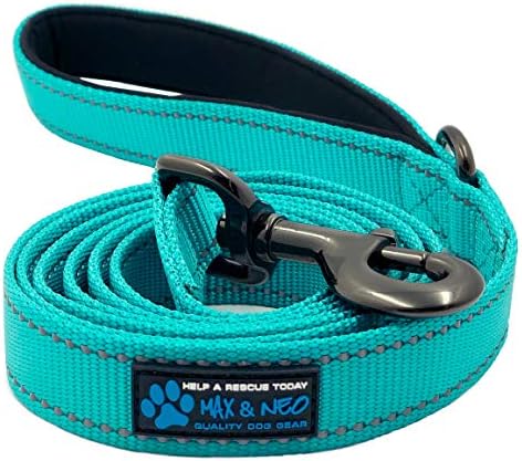 Max and Neo Reflective Nylon Dog Leash - We Donate a Leash to a Dog Rescue for Every One Sold (Teal, 6x1)