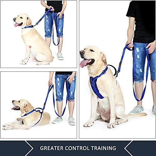 Plutus Pet Double Handle Dog Leash, 6 FT Long, for Medium Large Dogs