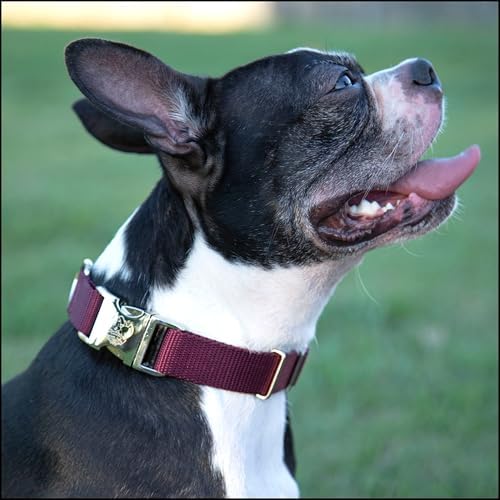 Country Brook Petz - Premium Nylon Dog Collar with Metal Buckle for Small Medium Large Breeds - 30+ Colors (Large, 1 Inch Wide, Burgundy)