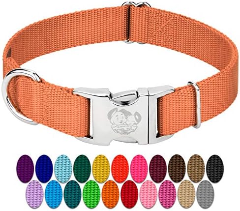 Country Brook Petz - Premium Nylon Dog Collar with Metal Buckle for Small Medium Large Breeds - 30+ Colors (Medium, 3/4 Inch, Coral)