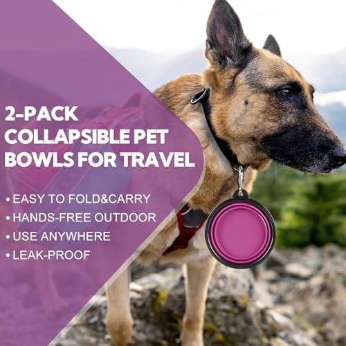 Collapsible Dog Bowl for Travel,2-Pack 12oz Pet Portable Water Food Bowls