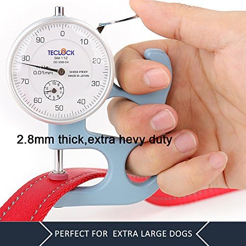 Plutus Pet Double Handle Dog Leash, 5 FT Long, for Medium Large Dogs