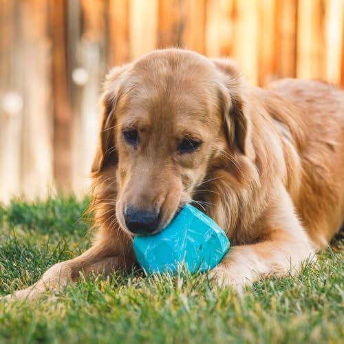 Ruffwear, Gnawt-a-Rock, Interactive Dog Toy, Purple Orchid