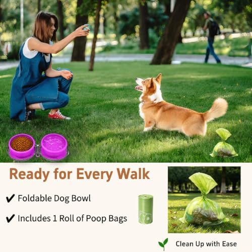 2-in-1 Collapsible Dog Travel Bowl Portable Silicone Carabiner