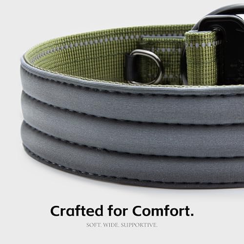 Tactical Dog Collar with Control Handle & AirTag Holder Green