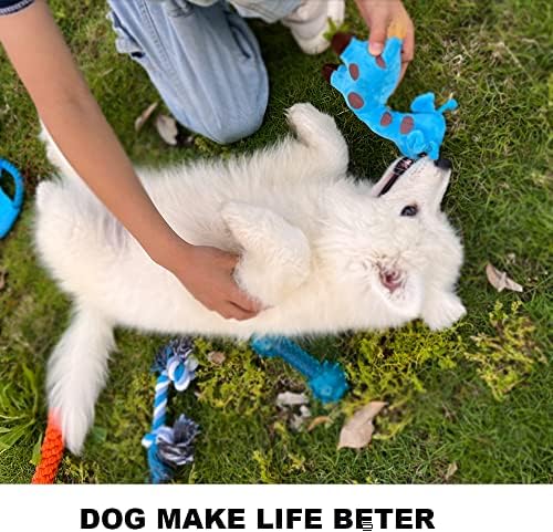Dog Toys Small Dog Chew Toys Dog Teething Toys Squeaky Toys Chihuahua Pomeranian Corgi and PoodlesToys 6 PCS