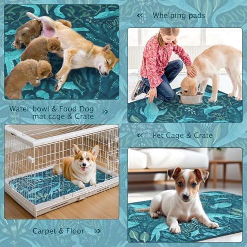 BVAGSS Washable Pee Pads for Dogs, 2 Pack Reusable Leakproof Puppy Wee Wee Pad, Non-Slip Waterproof Pet Training Pads, Super Absorbent Whelping Pads XH081 (Dino Green, 36X24 Inch (Pack of 2))
