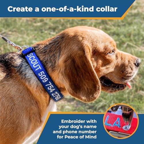 GoTags Personalized Dog Collar, Custom Embroidered with Pet Name and Number