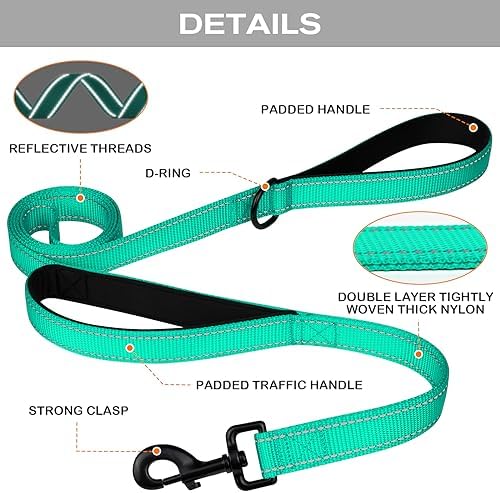 Joytale Dog Leash for Large Dogs that Pull, Double Handle, 5FT, Teal