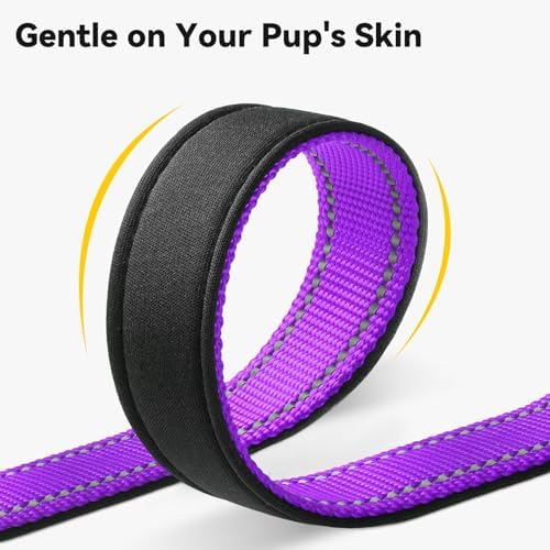 Joytale Personalized Dog Collar with Name Plate Built-in for Medium Dogs