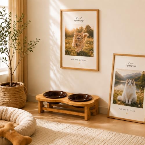 Bone Elevated 5.5" Ceramic Cat Puppy Bowls, Raised Cat Bowl Stand
