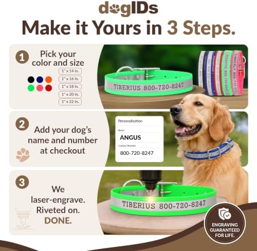 dogIDs Personalized Reflective Waterproof Dog Collar - Custom, Durable, Adjustable, Odor Resistant, Safe, Engraved - Green, 1 in x 22 in (Fits Neck Sizes: 20-24 in)