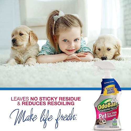 OdoBan Pet Solutions Oxy Stain Remover, Pet Stain Eliminator, Made in the USA, 6-Pack, 32 Ounce Spray Each