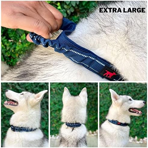 Tuff Pupper Heavy Duty Dog Collar with Handle | Ballistic Nylon Heavy Duty Collar | Padded Reflective Dog Collar with Adjustable Stainless Steel Hardware | Convenient Sizing for All Breeds