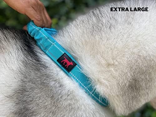 Tuff Pupper Heavy Duty Dog Collar with Handle | Ballistic Nylon Heavy Duty Collar | Padded Reflective Dog Collar with Adjustable Stainless Steel Hardware | Convenient Sizing for All Breeds