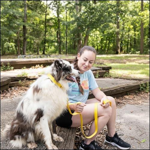 Country Brook Petz - Everyday Nylon Dog Collar for Large, Medium, and Small Dogs and Puppies - for Everyday Use in 30+ Colors (Large, 1 Inch Wide, Yellow)