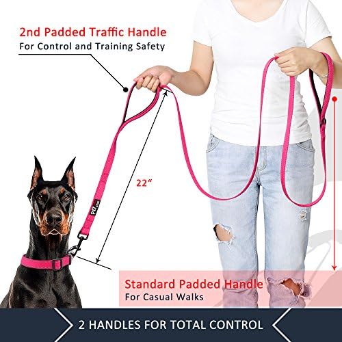Plutus Pet Double Handle Dog Leash, 4 FT Long, for Medium Large Dogs