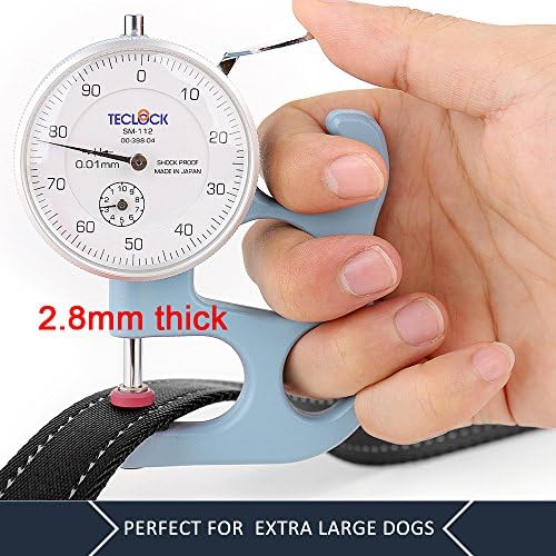 Plutus Pet Double Handle Dog Leash, 4 FT Long, for Medium Large Dogs