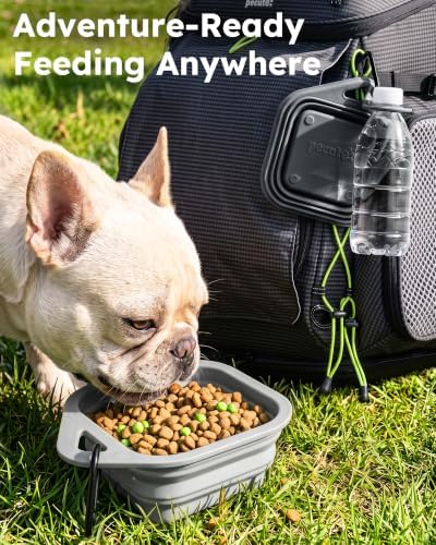 Pecute 2 Pack Foldable Travel Dog Bowls, Portable Silicone, Grey/Dark Grey