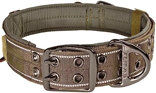 ADITYNA Heavy Duty Dog Collar for Extra-Large Dogs with Traffic Handle