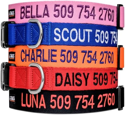 GoTags Personalized Dog Collar, Custom Embroidered with Pet Name and Number