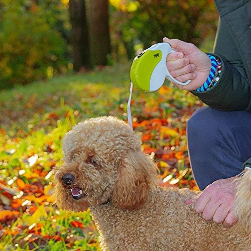 Ferplast Retractable Dog Lead Extendable Dog Leash Amigo Cord M, Retractable Cord, 5 m, max 25 kg, Light Blue