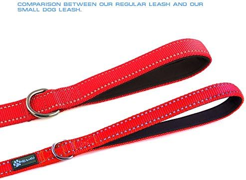 Max and Neo Small Dog Reflective Nylon Leash - We Donate One to Rescue for Every Leash Sold (Red, 4x5/8)
