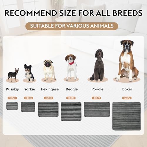 FunFurry Flannel Washable Pee Pad for Dogs - 2 Pack Reusable Dog Pee Pads Extra Large, Fast Absorb Pet Playpen Mat with Non-Slip Back, Waterproof Puppy Training Pad. (Dark Grey, 36" X 72")
