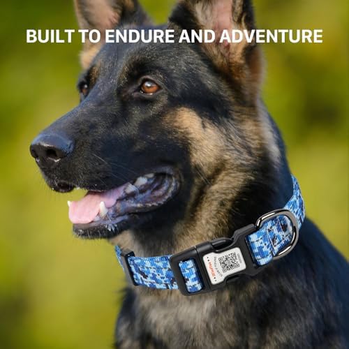 Personalized Dog Collar with QR Code Dog Tag, Camo Blue L