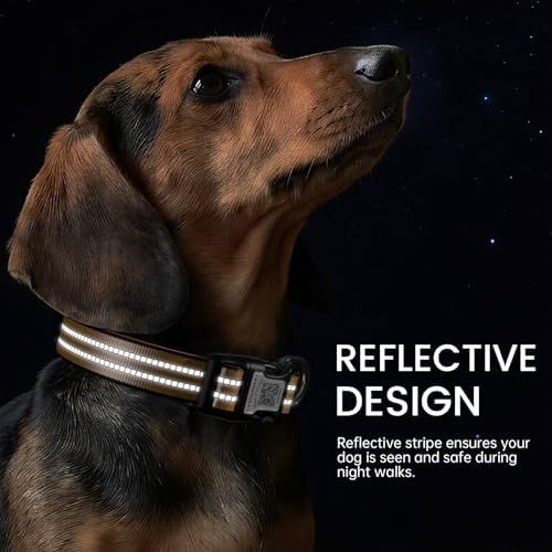Personalized Dog Collar with QR Code Dog Tag, Orange L