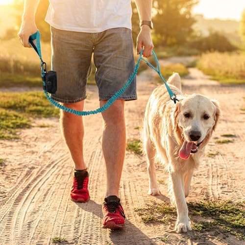 Tactical Dog Collar and Leash Set with Handle for Large Dogs