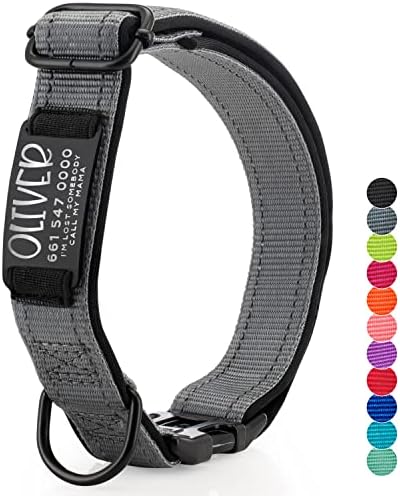 Updated - Personalized Dog Collars and Engraved Nameplate ID Tag, Reflective Nylon Dog Collar, Customizable in 11 Colors, 4 Adjustable Sizes, 16 Fonts, Dog Collar for Large, Small, Medium Dogs - Gray