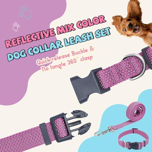 Reflective Dog Collar and Leash Set, Nylon Dog Leash with Heavy-Duty Steel D-Ring, Adjustable with Quick Release Buckle for Large Dogs, Purple L