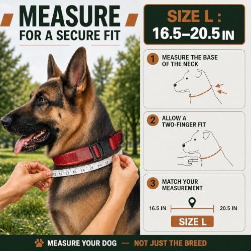 Tactical Dog Collar with Handle, Heavy Duty for Female Dogs