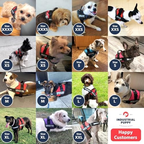Industrial Puppy Emotional Support Vest Harness, Small 19.5-25 in, Red