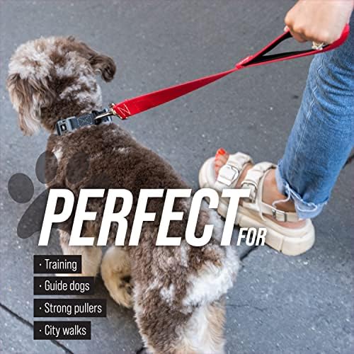 Leash Boss Short Dog Leash with Padded Handle - 12, 18, and 24 Inch Leads for Large Dogs - 1 Inch Nylon (12 in, Black/Red/Gray)