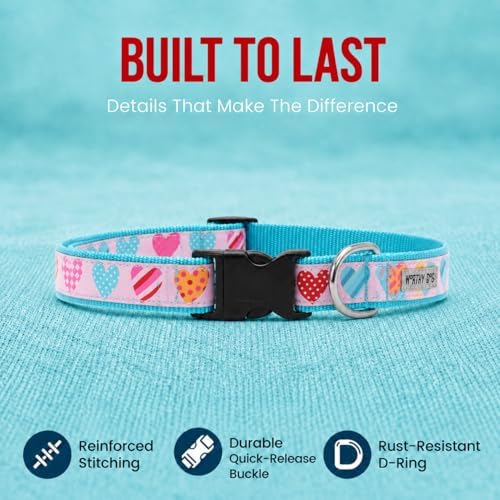 THE WORTHY DOG Summer Print, Adjustable Dog Collar, Small Dogs,Love is Love