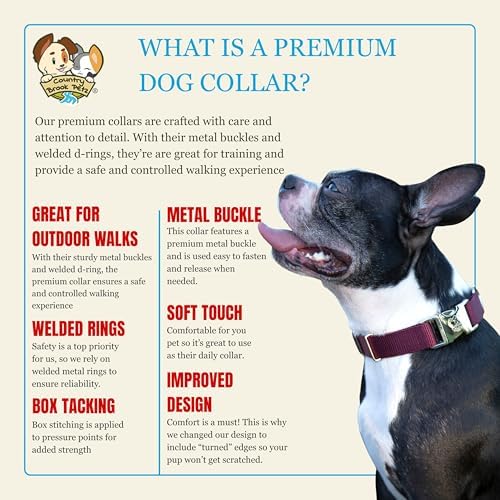 Country Brook Petz - Premium Nylon Dog Collar with Metal Buckle for Small Medium Large Breeds - 30+ Colors (Medium, 3/4 Inch, Burgundy)
