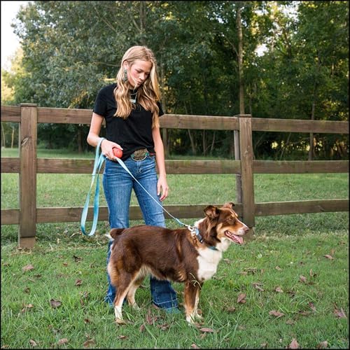 Country Brook Petz - Everyday Nylon Dog Collar for Large, Medium, and Small Dogs and Puppies - for Everyday Use in 30+ Colors (Extra Small, 3/8 Inch Wide, Ice Blue)