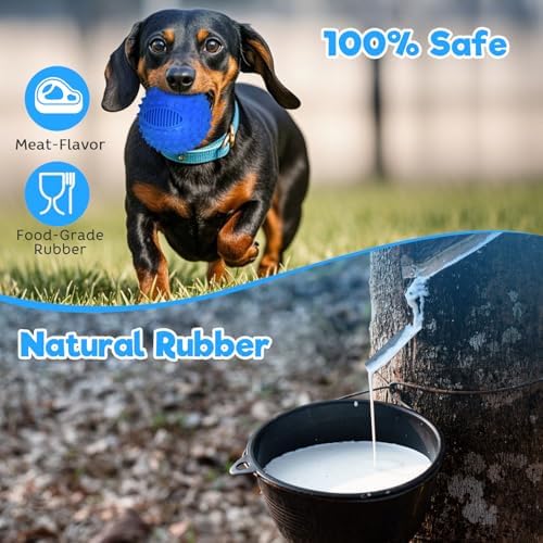 petizer 3" Squeaky Dog Balls for Aggressive Chewers, Durable Interactive Spiky Ball for Teething, Indestructible Rubber Dog Chew Toys, Tough Pet Toys for Small, Medium & Large Breeds