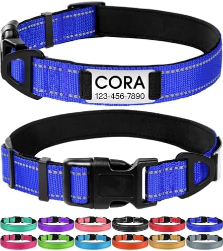 Joytale Personalized Dog Collar with Name Plate Built-in for Small Dogs