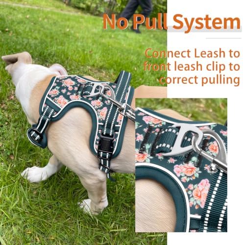 HEELE Dog Harness, Reflective, No Pull No Choke, Flower Blackish Green, M