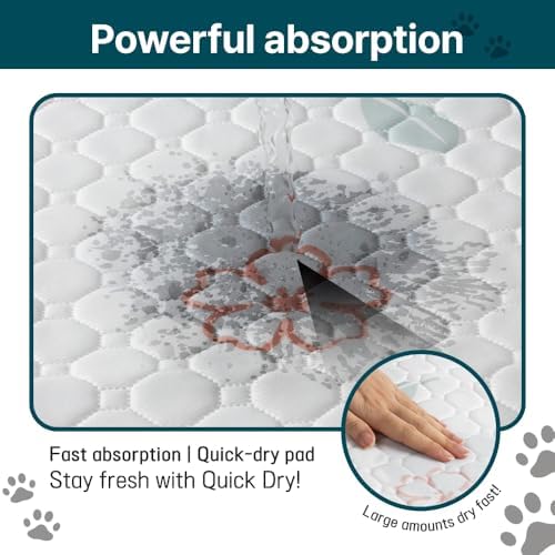 Extra Large Washable Dog Pee Pads (2 Pack), 31"x36" Reusable Waterproof Pad for Large Dogs, Super Absorbent, Non-Slip Indoor Puppy Training Mat