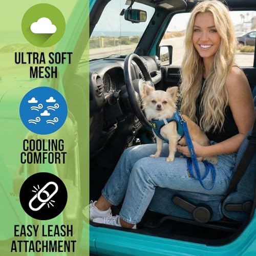 EcoBark Step in Dog Harness - Eco-Friendly Teacup Dog Harnesses for XXS, XS, and Small Dogs - Reflective and Adjustable Mini Body Halter Vest -Tiny Soft Mesh Toy Breed Harness (Bright Blue, XXS)