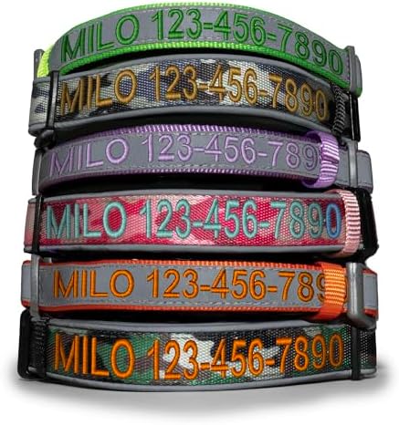 Pawtitas Personalized Reflective Padded Dog Collar With Name Phone Number - Adjustable Customized Collar for Large Dog Breeds | Orange