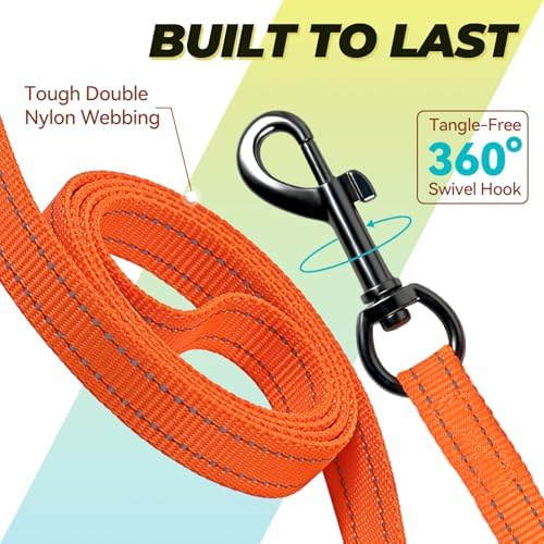 VIVAGLORY Double Handle Dog Leash Twingrip, 4ft x 1/2in, Orange