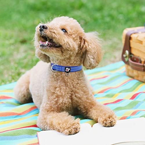 azuza Reflective Dog Collar, Neoprene Padded Puppy Collar, Royal Blue, XS