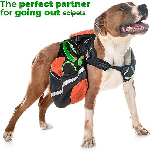 Retractable Extendable Dog Leash, 3, 5 and 8 Metres, Flexible Tape for Training and Walking, with Lock and Brake, Design and Comfortable Grip (5 Metres Over 20 kg, Green)